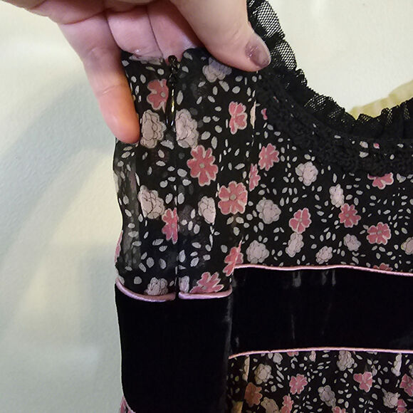 Cynthia Steffe Women's Silk Floral Fit and Flare Dress with Velvet Trim Size 4 - Picture 5 of 9